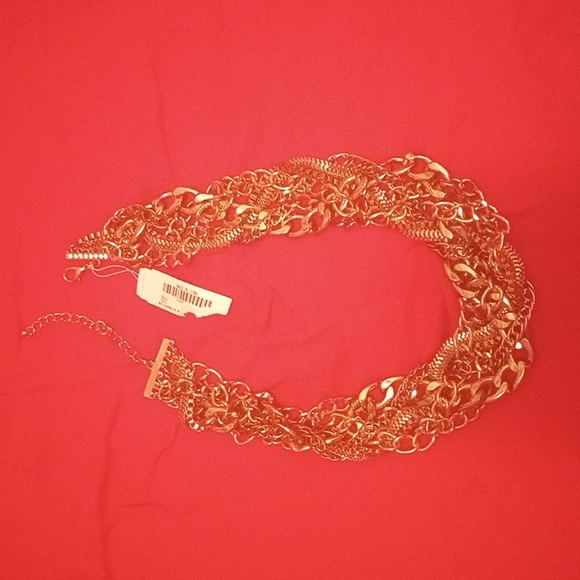 NWT, Necklace - Picture 1 of 4